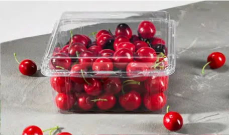 Fruit & vegetable box — AD-1000G