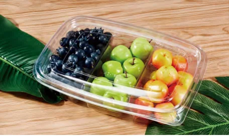 Divided fruit container — AD-162B3