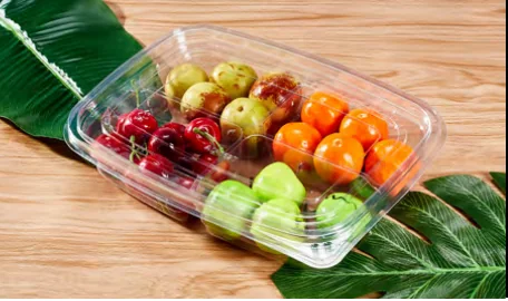Divided fruit container — AD-162B4