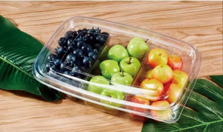 Divided fruit container — AD-165-3
