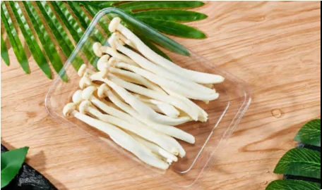 Produce tray — AD-1914P