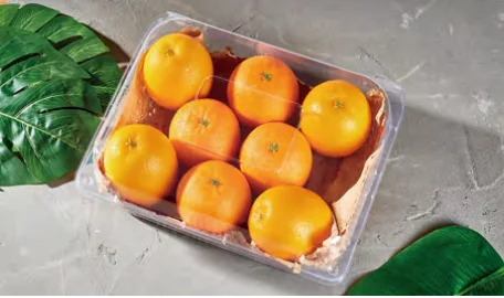 Fruit & vegetable box — AD-2000G