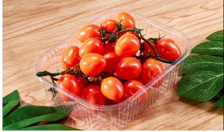 Produce tray — AD-2016B