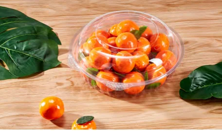Round fruit container — AD-20DL