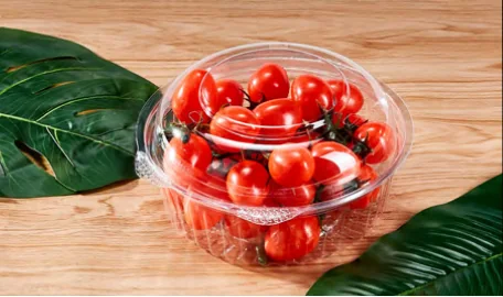Round fruit container — AD-24DL