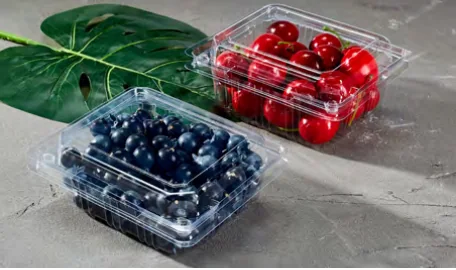 Fruit & vegetable box — AD-250G