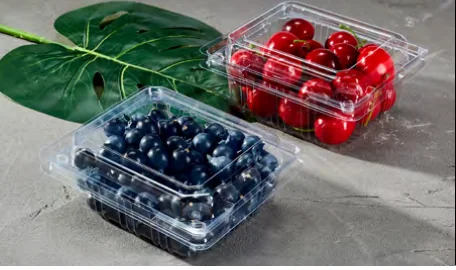 Fruit & vegetable box — AD-250M