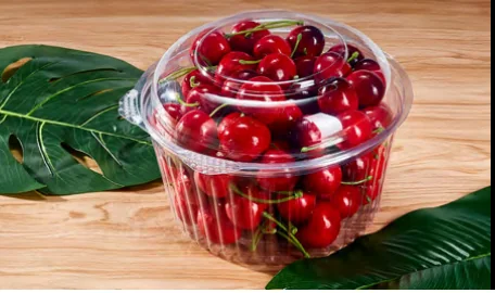 Round fruit container — AD-48DL
