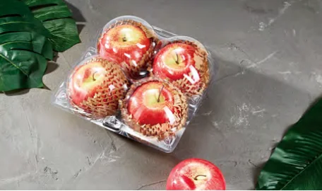 Divided fruit box — AD-4D