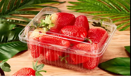 Fruit & vegetable box — AD-500B