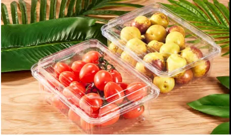 Fruit packaging box shown with tomatoes and fruit