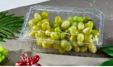 Fruit & vegetable box — AD-52