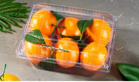 Fruit & vegetable box — AD-54
