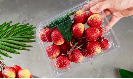 Fruit & vegetable box — AD-650
