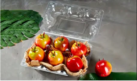 Divided fruit box — AD-6C