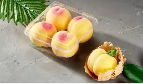 Fruit & vegetable box — AD-850G