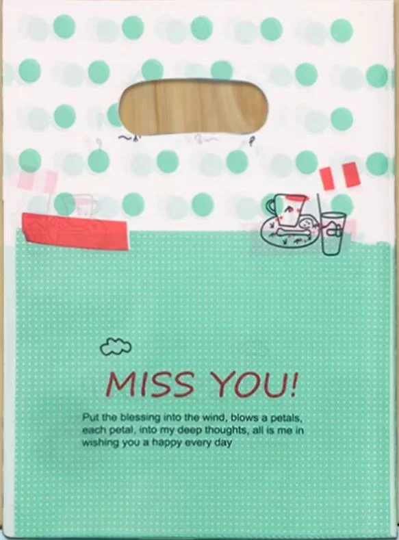 Mint dots gift bag — PPB-G008