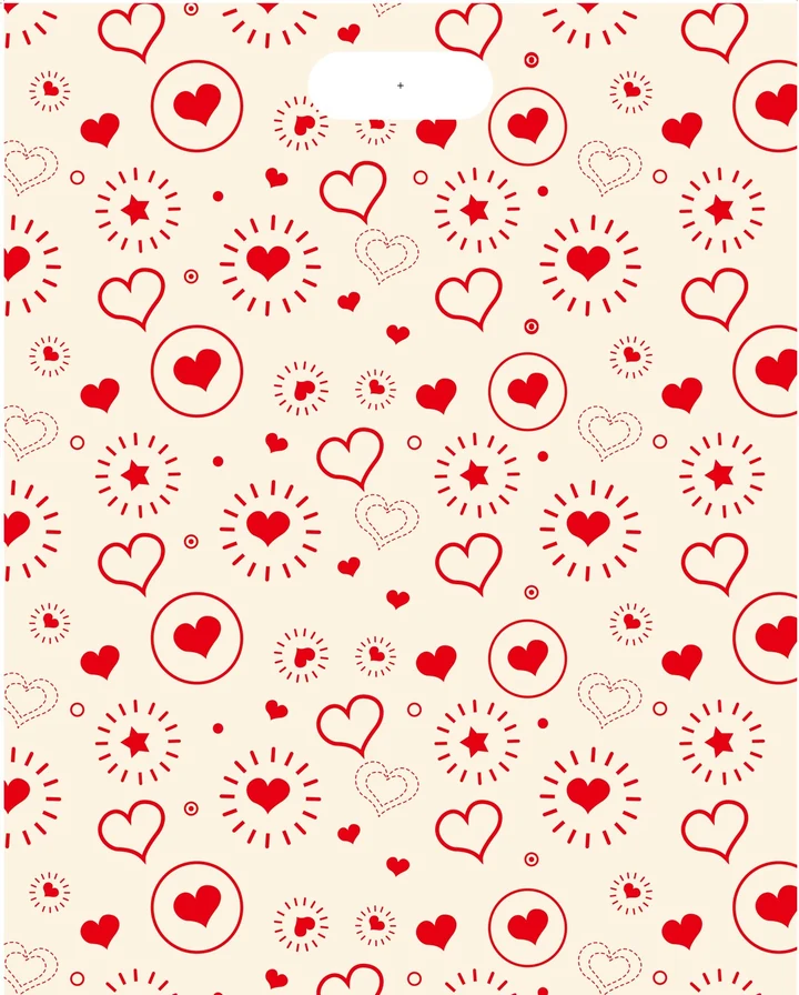 Red hearts & flowers gift bag — PPB-G082